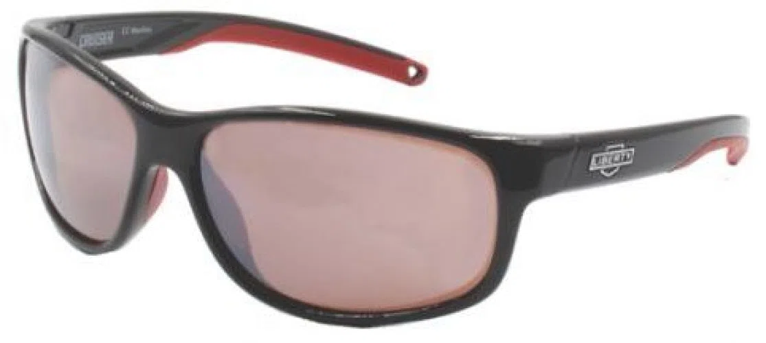 Rec Specs CRUISER Sunglasses